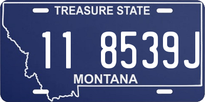 MT license plate 118539J