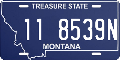 MT license plate 118539N