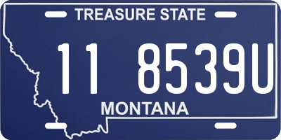 MT license plate 118539U