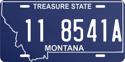 MT license plate 118541A