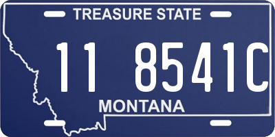 MT license plate 118541C