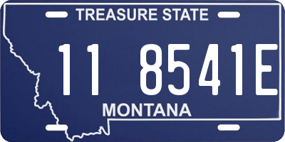 MT license plate 118541E