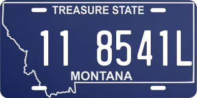 MT license plate 118541L