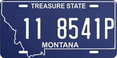 MT license plate 118541P