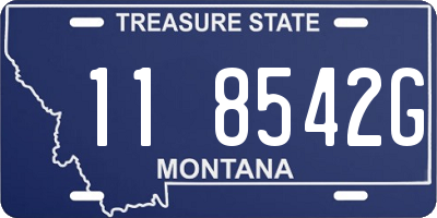 MT license plate 118542G