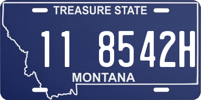 MT license plate 118542H