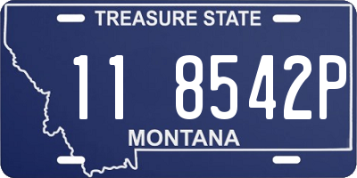 MT license plate 118542P