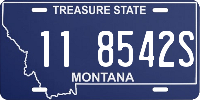 MT license plate 118542S