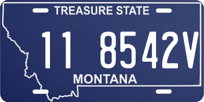 MT license plate 118542V