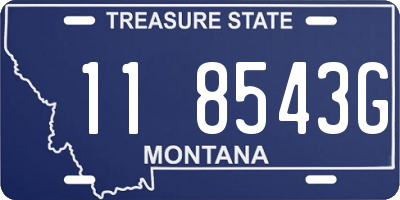 MT license plate 118543G