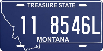 MT license plate 118546L