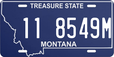 MT license plate 118549M