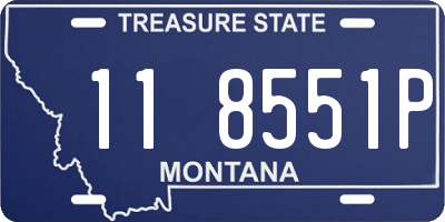 MT license plate 118551P