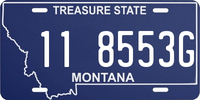 MT license plate 118553G