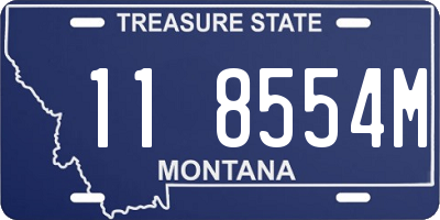 MT license plate 118554M