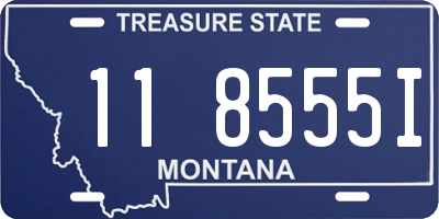 MT license plate 118555I