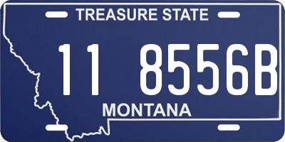 MT license plate 118556B