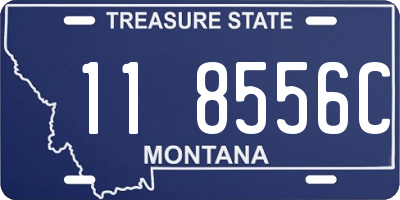 MT license plate 118556C