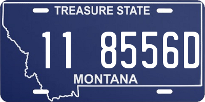 MT license plate 118556D