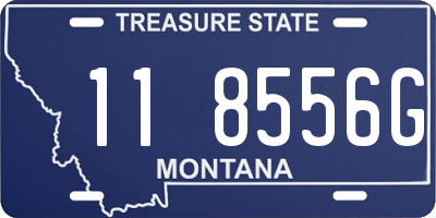 MT license plate 118556G