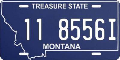 MT license plate 118556I