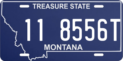 MT license plate 118556T