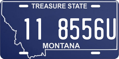 MT license plate 118556U