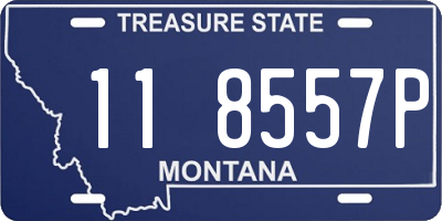 MT license plate 118557P