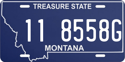 MT license plate 118558G