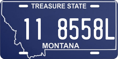 MT license plate 118558L