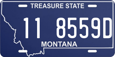 MT license plate 118559D