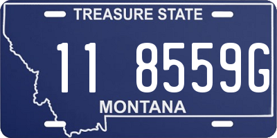 MT license plate 118559G