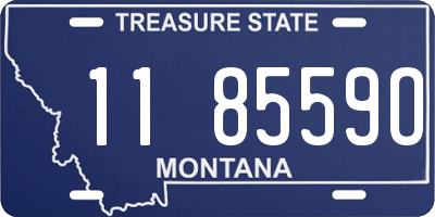 MT license plate 118559O