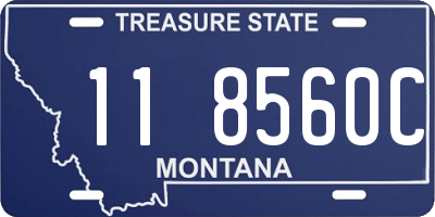 MT license plate 118560C