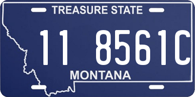 MT license plate 118561C