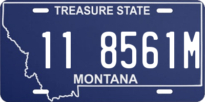 MT license plate 118561M