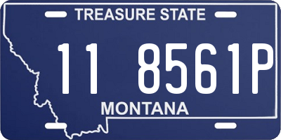 MT license plate 118561P