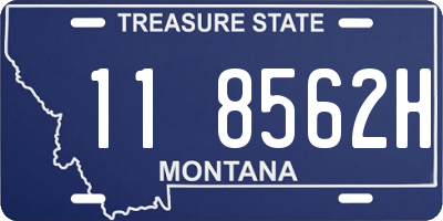 MT license plate 118562H