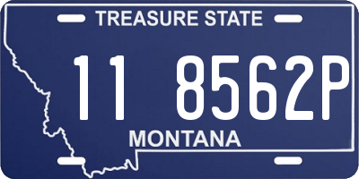 MT license plate 118562P