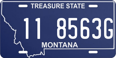 MT license plate 118563G