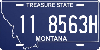 MT license plate 118563H