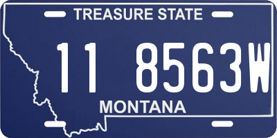 MT license plate 118563W