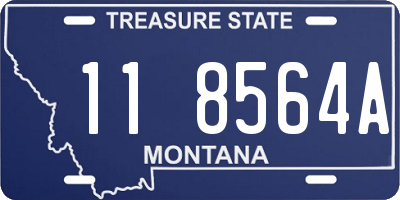 MT license plate 118564A