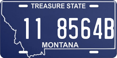 MT license plate 118564B