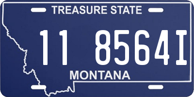 MT license plate 118564I