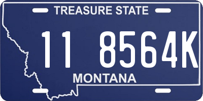 MT license plate 118564K