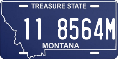 MT license plate 118564M