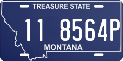 MT license plate 118564P