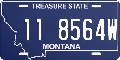 MT license plate 118564W