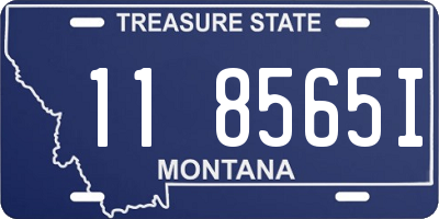 MT license plate 118565I